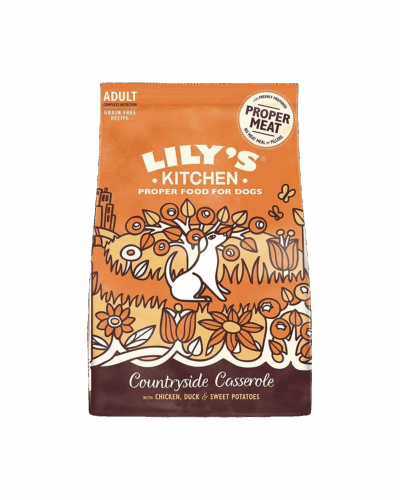 Small Breed Adult Dry Dog Food