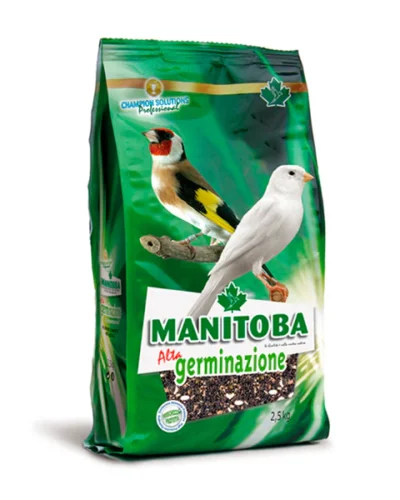 ALTA GERMINACION CANARIOS