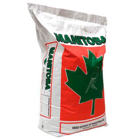 Mixtura T3 Platino con Perilla Manitoba 20kg